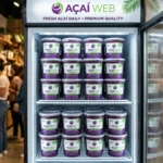 Kit para Revenda  Açaí Artesanal Integral